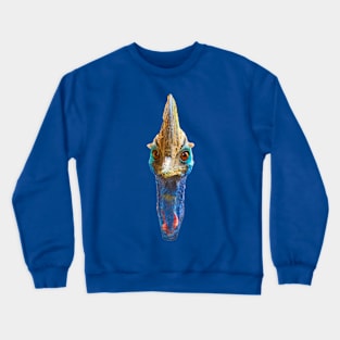 Cassowary looking at You Crewneck Sweatshirt